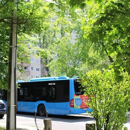 아파트 Sziget Festival Next To The River