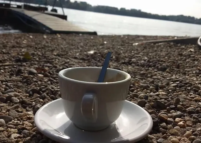 Next To The Danube River