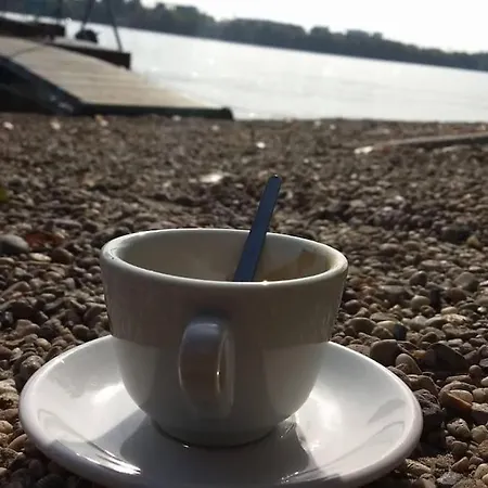 Apartment Next To The Danube River